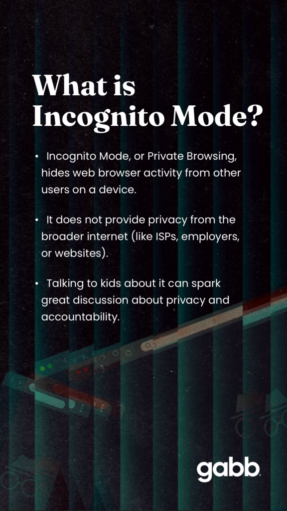 what is incognito mode or private browsing? it hides web browser activity from other users on a device